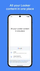 Looker screenshot