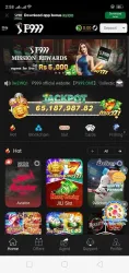 P999 screenshot