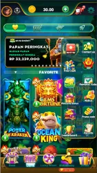 Win IDN screenshot