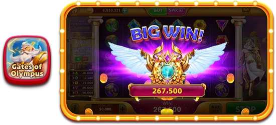 RVIP1 screenshot