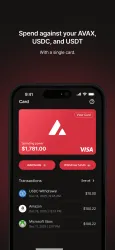 Avalanche Card screenshot
