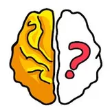 Brain Out logo