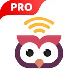 NightOwl VPN PRO logo
