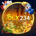 OLX234