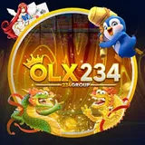 OLX234 logo