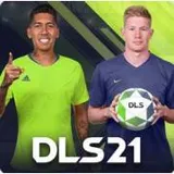 DLS 2021 logo