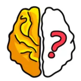 Brain Out logo