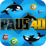 PAUS4D logo