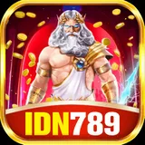 IDN789 logo
