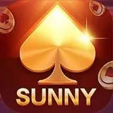 Sunny Game logo