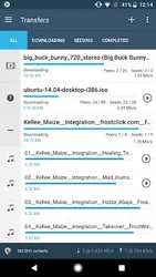 FrostWire Downloader & Player screenshot
