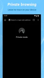 Kiwi Browser screenshot