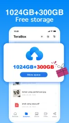 Terabox screenshot