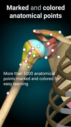 Anatomy Learning screenshot