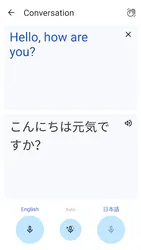 Google Translate screenshot