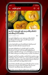 Sinhala Breaking News screenshot