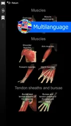 Anatomy Learning screenshot