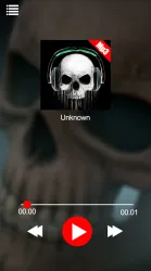 Free Mp3 Skull screenshot