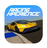 Racing Xperience logo