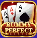 Rummy Perfect