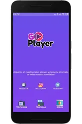 Go Player screenshot