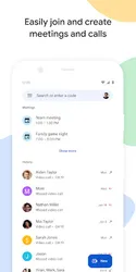 Google Meet screenshot
