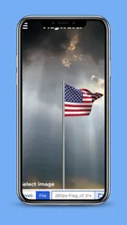 flag waver screenshot